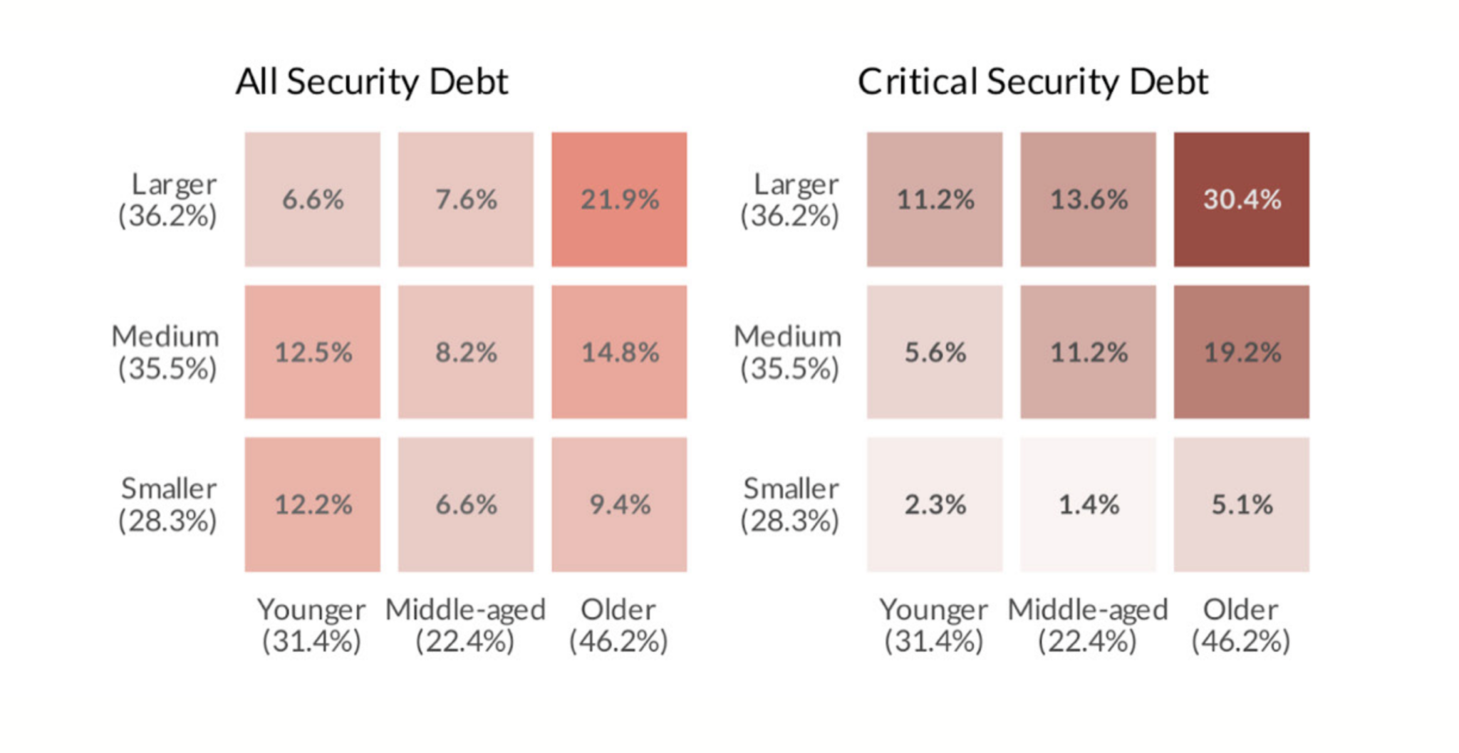 Application Age and Security Debt in the Public Sector